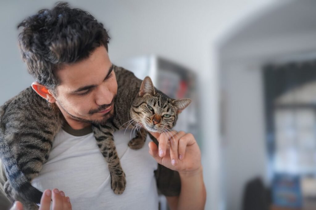 Happy purrs indicate your cat is content. Celebrate your relationship by making both of your lives better.